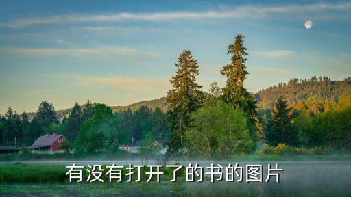 有沒有打開了的書的圖片