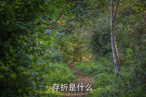存折，存折是干什么用的