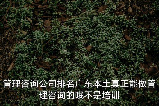 管理咨詢公司排名廣東本土真正能做管理咨詢的哦不是培訓(xùn)