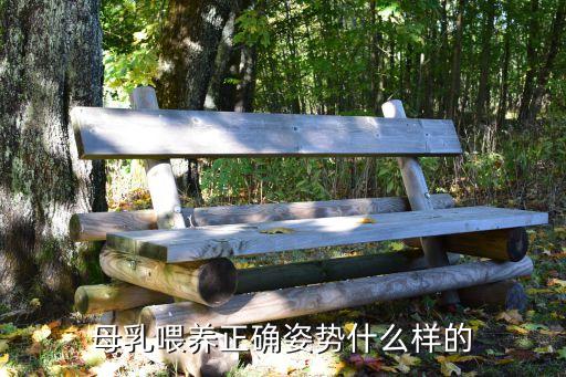 母乳喂養正確姿勢什么樣的