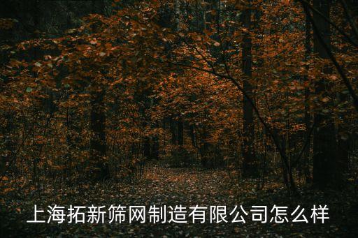 上海市新篩網 查詢，上海各個路口探頭查詢