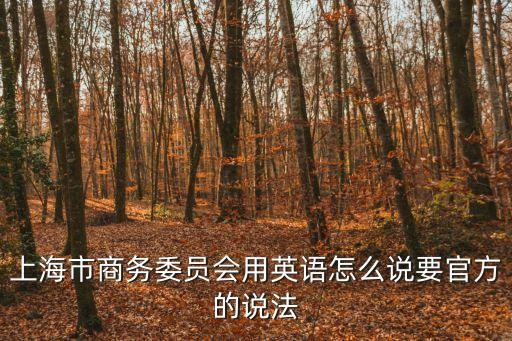 上海市經(jīng)信委的英文翻譯，經(jīng)信委 翻譯怎么翻 快快快