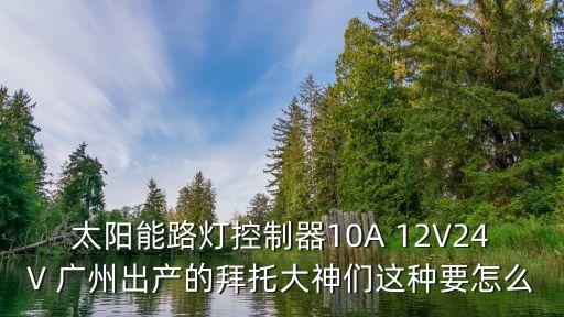 太陽能路燈控制器10A 12V24V 廣州出產(chǎn)的拜托大神們這種要怎么