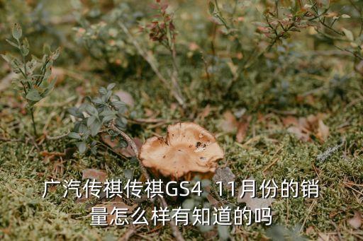 廣汽傳祺廣州工廠最新銷量，廣汽傳祺傳祺GS4  11月份的銷量怎么樣有知道的嗎