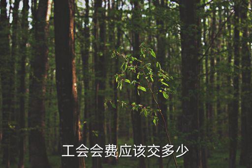 上海市 工會(huì)會(huì)費(fèi)，工會(huì)會(huì)費(fèi)應(yīng)該交多少