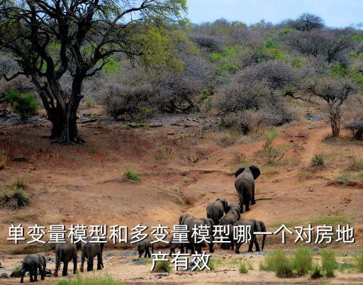 廣州房協專家南沙論道，單變量模型和多變量模型哪一個對房地產有效