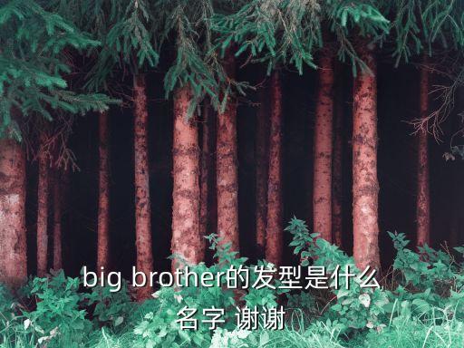 短飛機(jī)頭，big brother的發(fā)型是什么名字 謝謝