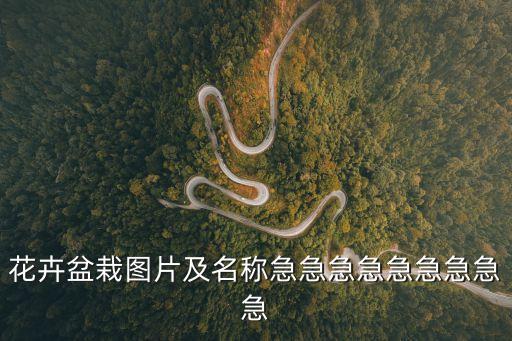 花草盆景，花卉盆栽圖片及名稱急急急急急急急急急