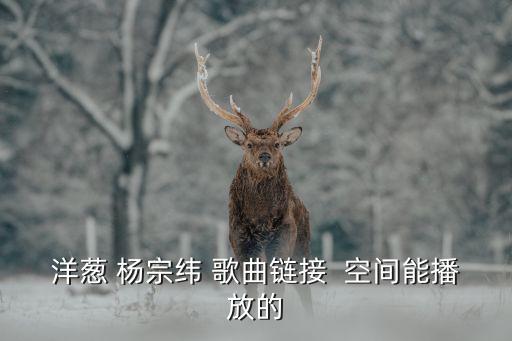 洋蔥 楊宗緯 歌曲鏈接  空間能播放的