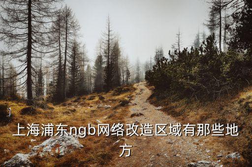 上海浦東ngb網絡改造區域有那些地方