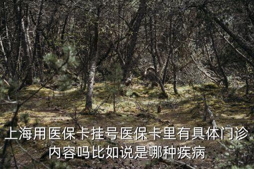 上海市醫(yī)保診療目錄，上海用醫(yī)保卡掛號醫(yī)保卡里有具體門診內(nèi)容嗎比如說是哪種疾病