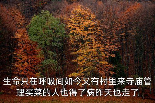 廣州市廣陽區萬莊鎮高家營村，我朋友乘坐摩托車被甩出去已經快死了 他們雙方家長由村里調解達成協