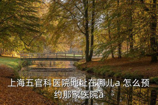 上海五官科醫院地址在哪兒a 怎么預約那家醫院a