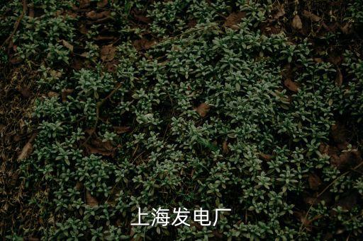 上海發(fā)電廠