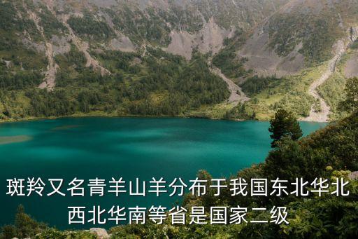 斑羚，斑羚又名青羊山羊分布于我國(guó)東北華北西北華南等省是國(guó)家二級(jí)