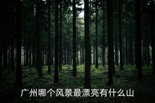 廣州哪個風景最漂亮有什么山
