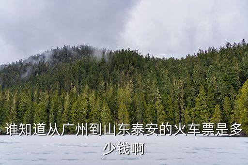 誰知道從廣州到山東泰安的火車票是多少錢啊