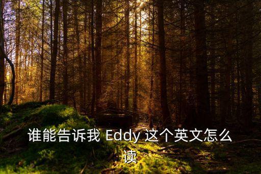 eddie怎么讀，誰能告訴我 Eddy 這個英文怎么讀
