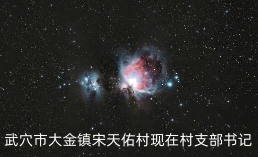 武穴市大金鎮(zhèn)宋天佑村現(xiàn)在村支部書記
