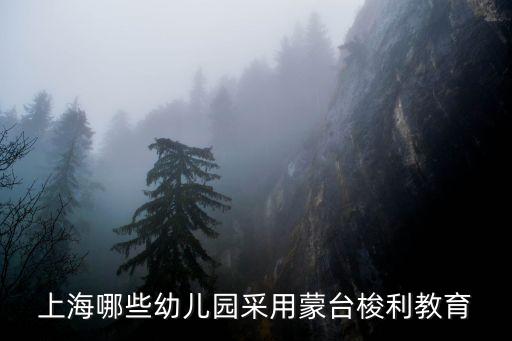 上海哪些幼兒園采用蒙臺梭利教育