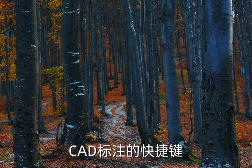 cad標注快捷鍵命令，CAD標注的快捷鍵