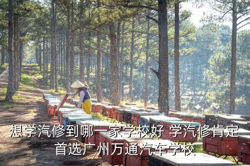 想學(xué)汽修到哪一家學(xué)校好 學(xué)汽修肯定首選廣州萬通汽車學(xué)校