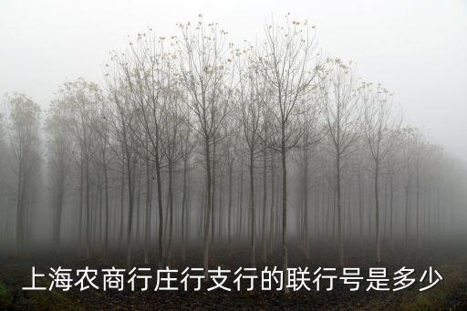 農(nóng)行上海市奉浦支行行號(hào)，上海農(nóng)商行莊行支行的聯(lián)行號(hào)是多少