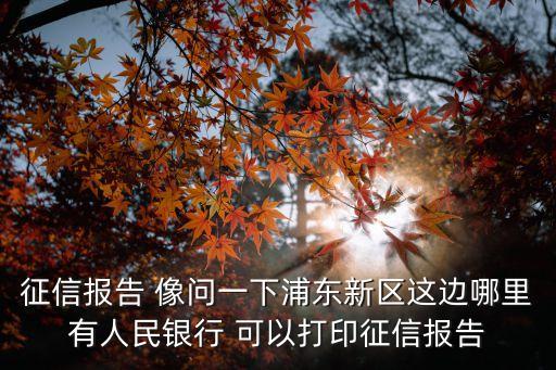 征信報告 像問一下浦東新區這邊哪里有人民銀行 可以打印征信報告