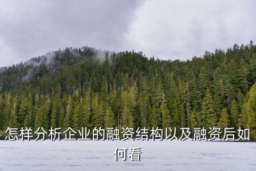 融資分析，分析一個企業的投融資機制應該怎么入手從哪些方面寫