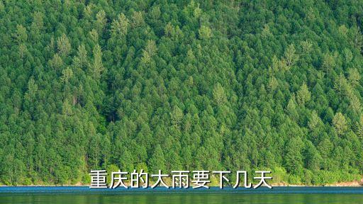 上海市氣象局陳振林，拉尼娜是雪災禍首