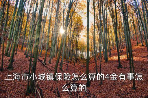 上海市小城鎮保險制度，上海市小城鎮保險怎么算的4金有事怎么算的
