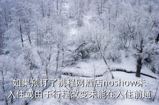 noshow，no show 是什么意思