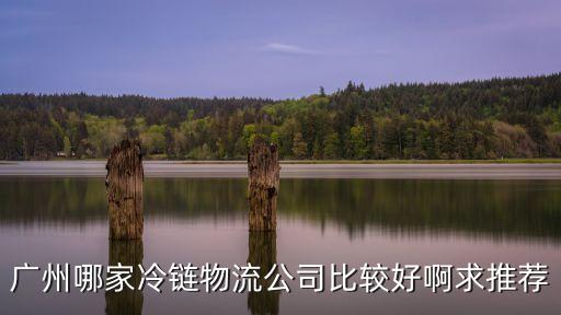 廣州短途冷鏈運(yùn)輸物流公司，請(qǐng)問廣州有哪幾家冷鏈物流公司