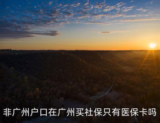 非廣州戶口在廣州買社保只有醫?？▎? class=