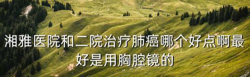 湘雅醫(yī)院和二院治療肺癌哪個(gè)好點(diǎn)啊最好是用胸腔鏡的