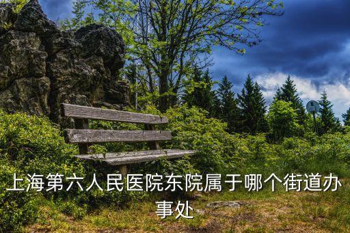 上海市市六醫院東院，上海六院東院距離上海虹橋火車站距離