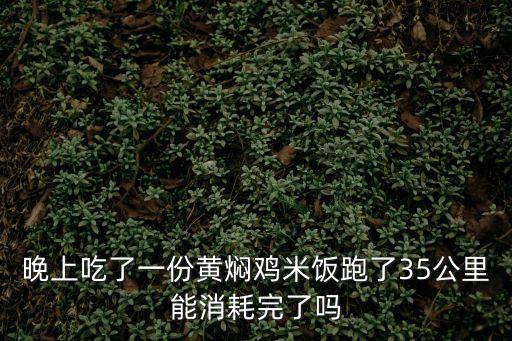 黃燜雞的熱量，雞肉的熱量是多少