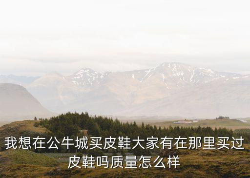 廣州市番禺公牛皮鞋專賣店，我想在公牛城買皮鞋大家有在那里買過皮鞋嗎質量怎么樣