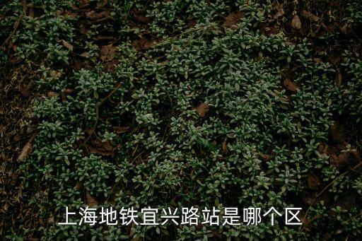 上海市宜興路，上海地鐵9號線宜興路站是哪個區(qū)的
