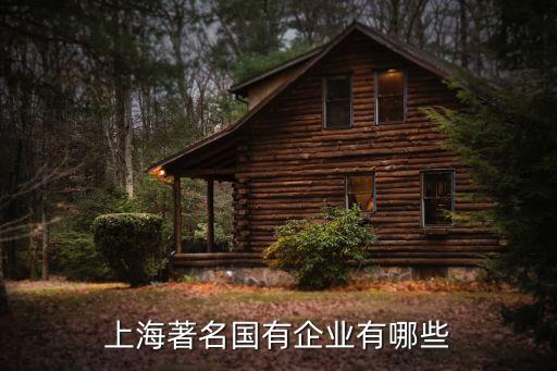 上海市雙擁單位名單，上海著名國有企業有哪些