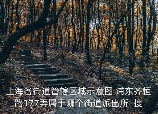 上海各街道管轄區域示意圖 浦東齊恒路177弄屬于哪個街道派出所  搜
