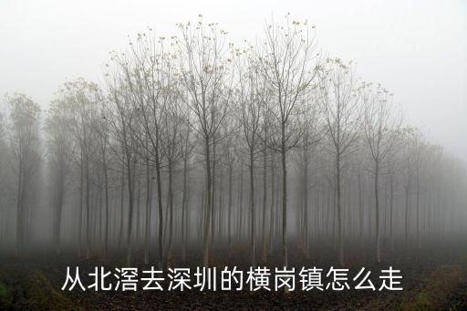 廣州北站到橫崗高鐵，廣州高鐵到深圳去哪個(gè)站坐 坐幾號(hào)線