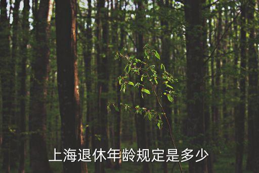 上海市事業單位退休老辦法，上海市2016年事業單位退休職工工資調整辦法