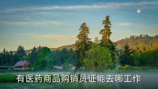 醫(yī)藥購銷員資格證可以落戶廣州嗎，藥品購銷證可以在哪里工作