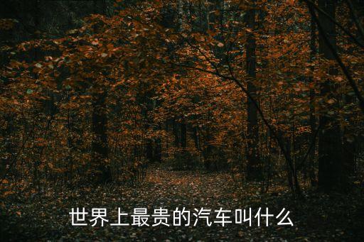世界上最貴的汽車叫什么