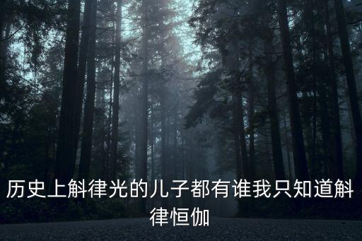 歷史上斛律光的兒子都有誰我只知道斛律恒伽
