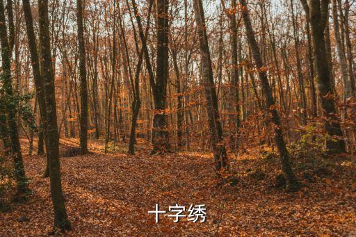 廣州繡品王新元大師，10萬針以上的工藝帶繡花后面料會起皺大家有沒有辦法解決如面