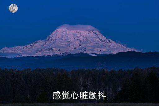 感覺心臟顫抖