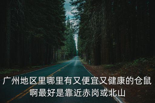 廣州地區里哪里有又便宜又健康的倉鼠啊最好是靠近赤崗或北山