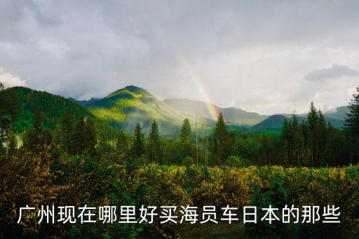 廣州現在哪里好買海員車日本的那些